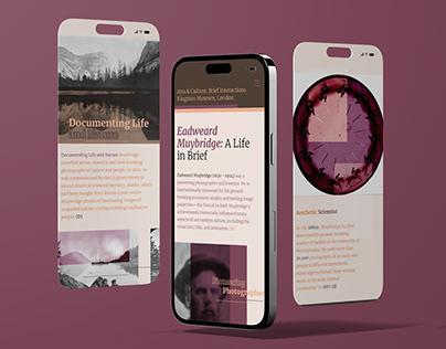 Museum Eadweard Muybridge Phone Webpage Design Project