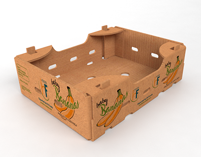 3D Boxes Renders for Packaging Catalogue