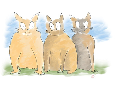 Three Screwball cats