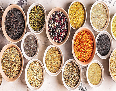 Spice Route: Farm-to-Table Revelations in Indian
