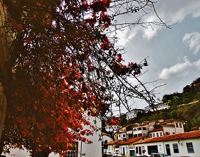 Fotografia_Ouro Preto/ Mariana- MG