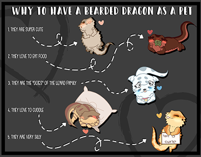 Bearded Dragon - Infographic