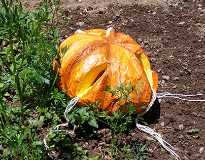 Expressive and utilitarian art of a pumpkin