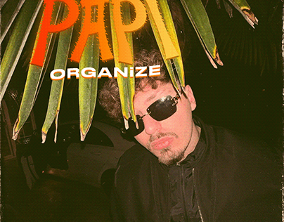 Organize - PAPİ | unofficial cover art