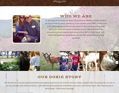 Ranch Hand Dachshunds Website