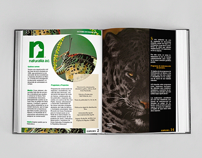 Especies Magazine (Editorial design example).