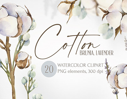 Watercolor Cotton realistic flowers clipart