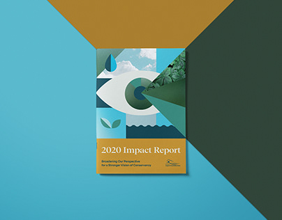 NJLCV 2020 Impact Report
