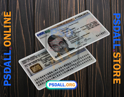 France Residence Permit Card PSD Template V1