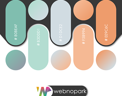 WebnoRenk #9 - webnopark.com