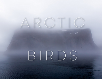 Arctic Birds