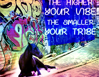 Higher Vibe Tribe