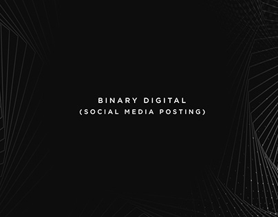 Binary Digital OJT works
