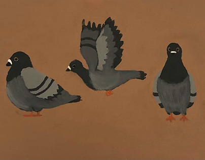 Cartoon Pigeons