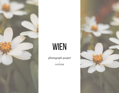 WIEN- PHOTOGRAPHY PROJECT