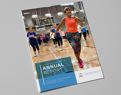 2017 Naperville Park District Annual Report