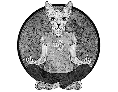 Sphynx catwoman illustration