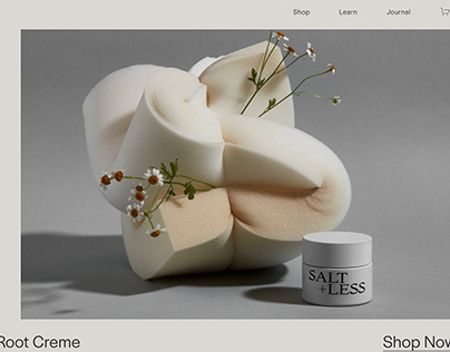 Saltless - Website Template - Squarespace