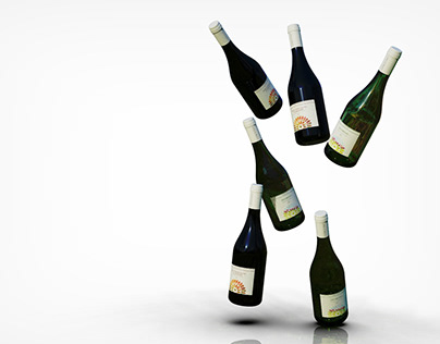 CodiceVino Bio - Wine Bottle Design