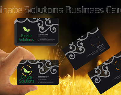 Binate Solution Business Card Design