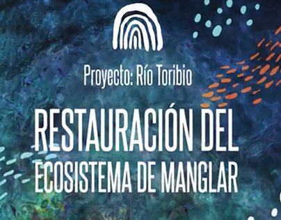 Proyecto Rio Toribio | Invemar