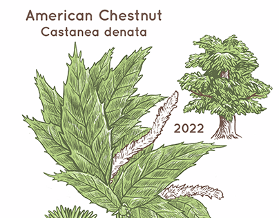 Revive The Roots- American Chestnut Shirt Design