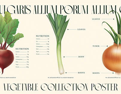 Vegetable Collection Poster