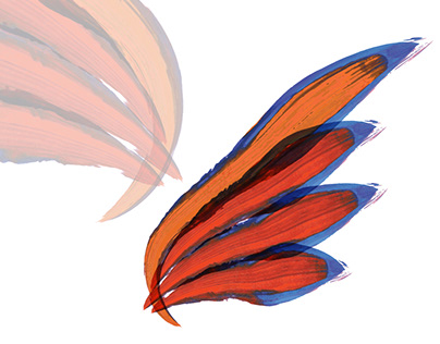 Sparrowhawk logo