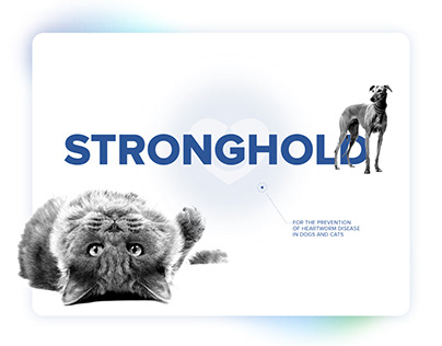 Stronghold Website