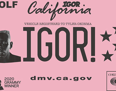 Tyler The Creator “IGOR” License Plate Custom Concept