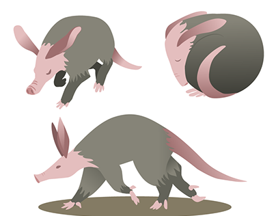 Aardvark Designs