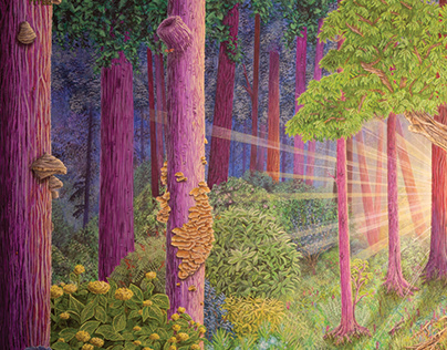 Psychedelic Forest Sunrise