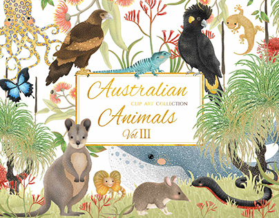Australian Animals Vol III | Clip Art Collection