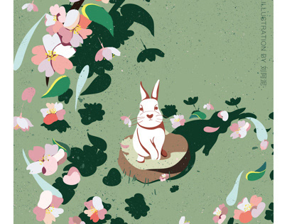 Rabbit and flower series