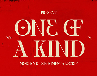 One of a kind | Serif font By Taboja Std