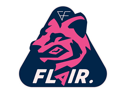 Flair football Academy