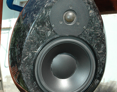 Custom CF speakers "dragoon egg"