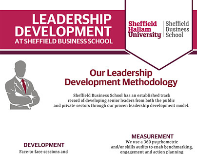 Leadership Development Infographic