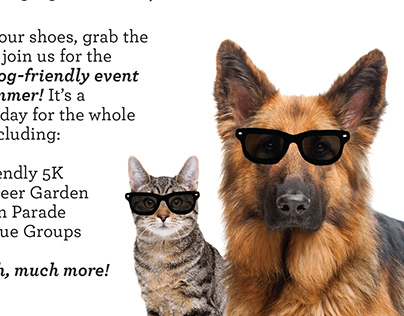 Walk for the Animals Flyer