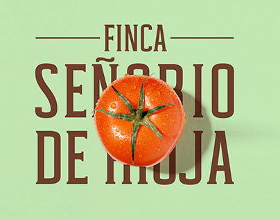 Project thumbnail - FINCA SEÑORIO DE RIOJA
