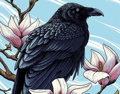 Magnolia Raven