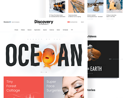 Discovery channel website design concept