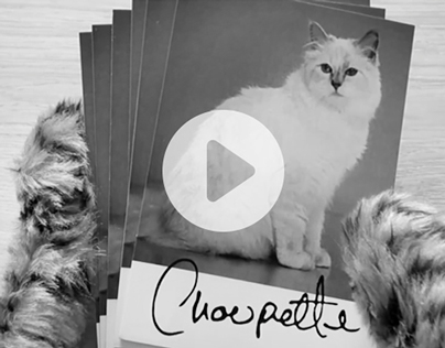 Music Video | Choupette