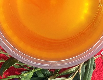 Honey from Bashkiria Starting website