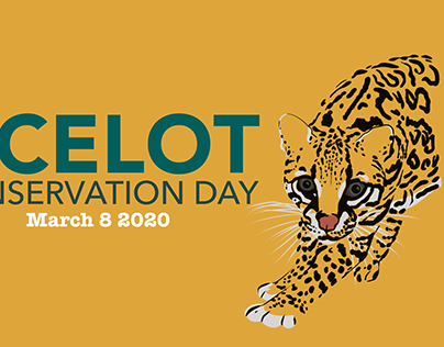 Ocelot Conservation Day 2020