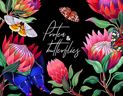 Protea and butterflies