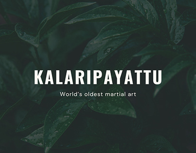 Project thumbnail - Kalaripayattu