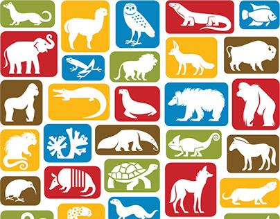 Smithsonian's National Zoo Icon System