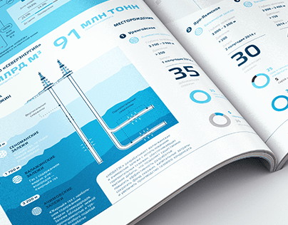 Annual reports' Infographics. International Giants