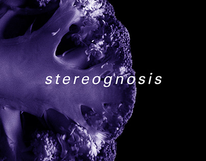 stereognosis - a brain magazine
